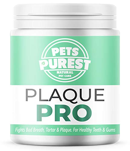 Pets Purest Polvo para Eliminación de Sarro y Placa para Perros, Cachorros y Gatos (180g) Plaque Clean 100% Natural para Animales. Limpia y Cuida Dientes Blancos y Encías. Ayuda contra el Mal Aliento