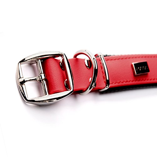 PetTec Collar de Perro Cómodo y Duradero, Fabricado con Trioflex lo Que lo Hace Fuerte; para Perros Grandes o Pequeños, Ajustable y con Relleno Impermeable (Rojo)