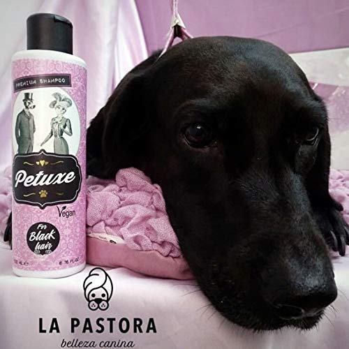 Petuxe Champú Perros y Mascotas Vegano, Pelo Negro, 200 ml