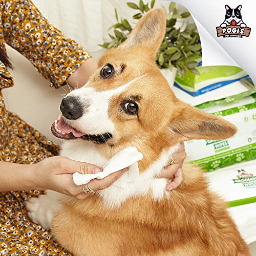 Pogi's Grooming Wipes - Toallitas húmedas - 100 toallitas desodorantes para Perros - No perfumadas, Naturales, Extra Grandes, biodegradables