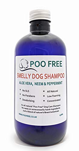 POO FREE 100% Natural - CHAMPÚ para Perro HEDIONDO - con Aloe Vera, ACEITES DE NEEM Y Menta - 250ml Sulfatos, Sin Parabenos, Sin Silicona. Concentrado, Limpia, Calma, Hidrata, Alivia.