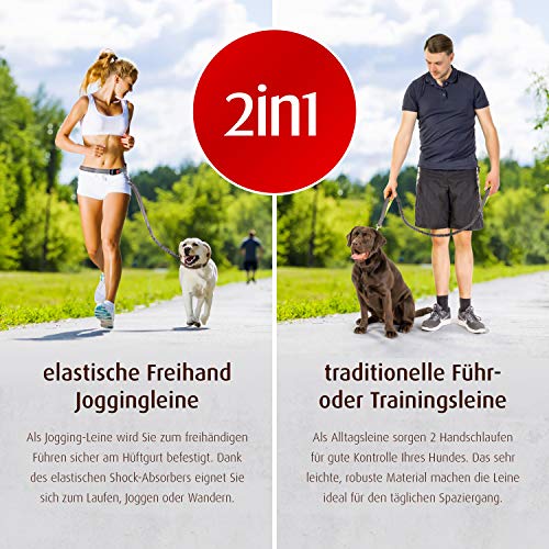 Pro Petcare Correa elástica para Correr con Cierre de Seguridad, Correa Ajustable para Perros (115-155 cm), Correa para Manos Libres con cinturón Abdominal