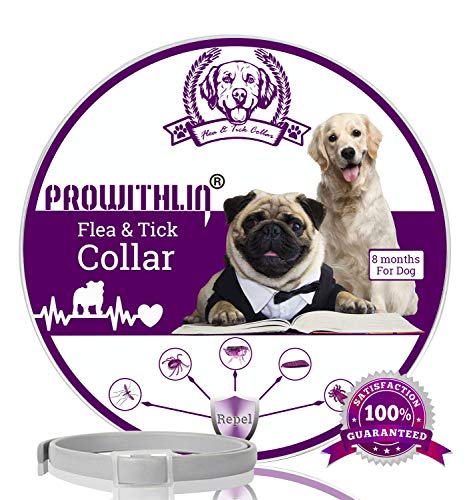 prowithlin Collar Antiparasitario para Perros contra Pulgas, Garrapatas Y Mosquitos, 8 Meses de Duración de Protección, Composición de Aceite Natural, No tóxico y Seguro