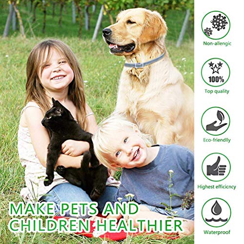 PROZADA [2PCS] Collares Antiparasitario para Perros Impermeable, 8 Meses de Protección de Efectividad Repelente de Plagas de Goma, Fórmula Natural, Ajustable (63cm) (1)