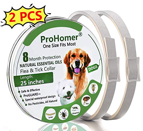 PROZADA [2PCS] Collares Antiparasitario para Perros Impermeable, 8 Meses de Protección de Efectividad Repelente de Plagas de Goma, Fórmula Natural, Ajustable (63cm) (1)