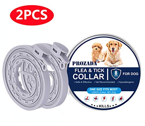 PROZADA [Nueva Fórmula] Collares Antiparasitario para Perros Impermeable, Garrapatas y Mosquitos, Tamaño Ajustable e Impermeable para Mascota Pequeño Mediano Grandes(57cm)