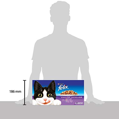 Purina Felix Fantastic comida para gato surtido variado Pack 44 x 100 g