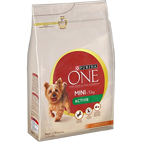 PURINA ONE Mini Active Pienso para Perro Adulto Pollo y Arroz 4 x 3 Kg