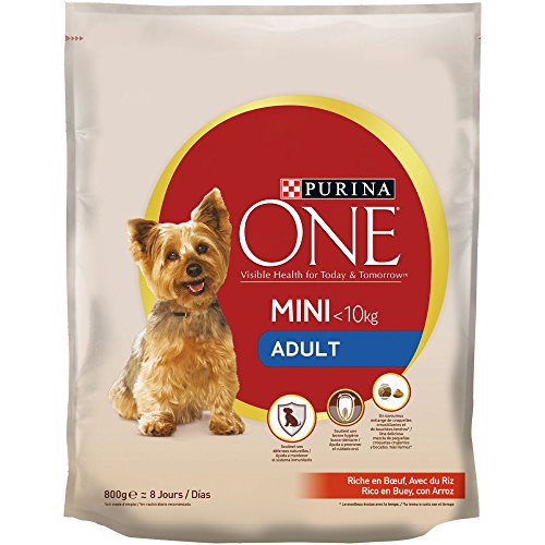 PURINA ONE Mini Pienso para Perro Adulto Buey y Arroz 8 x 800 g