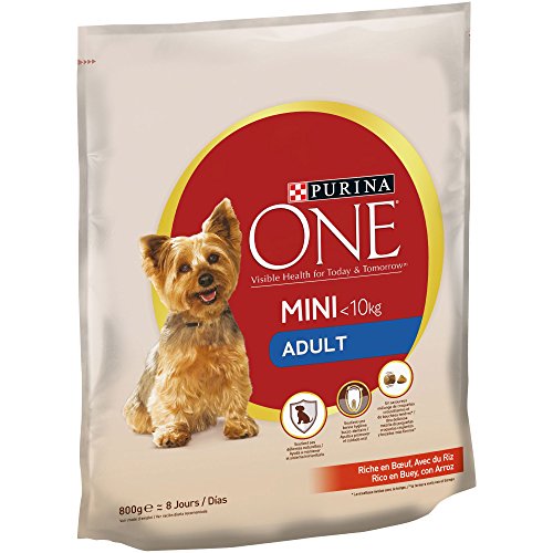 PURINA ONE Mini Pienso para Perro Adulto Buey y Arroz 8 x 800 g