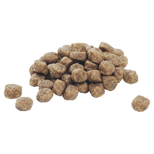 PURINA Pro Plan Comida Seco para Cachorros Pequeños y Mini con Optistart, Sabor Pollo - 700 g