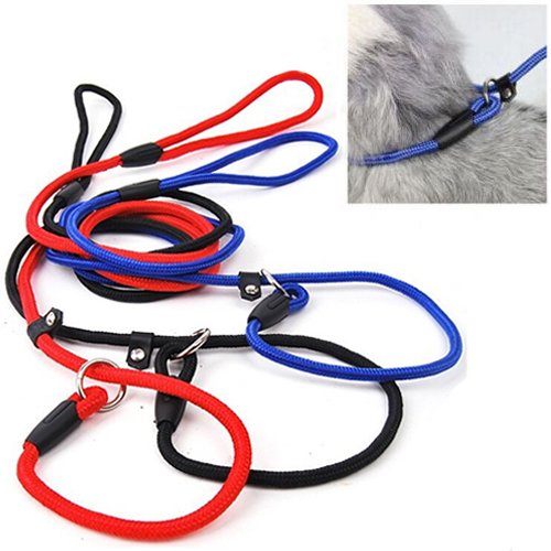 Q4Pets Adiestramiento de Perros Plomo/Correa para Perros Pequeños y Medianos. 1.3M. Cuerda y Collar de Deslizamiento de Cuerda Fuerte, Detener el Entrenamiento de Tiro (Marrón)