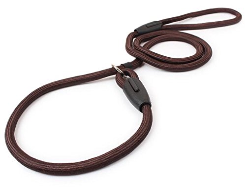 Q4Pets Adiestramiento de Perros Plomo/Correa para Perros Pequeños y Medianos. 1.3M. Cuerda y Collar de Deslizamiento de Cuerda Fuerte, Detener el Entrenamiento de Tiro (Marrón)