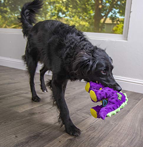 Quaker Pet Products goDog Spike Dino con Chew Tecnología Guardia, Materiales sintéticos, Morado, Morado