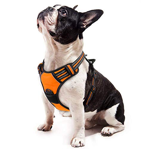 rabbitgoo Arnes Antitirones Perro Ajustable con Lineas Reflectantes Arnés Coche Perro Coche Adiesreamiento Arnes Perro Chaleco Transpirable con Asa Seguridad Easy Walk Pequeño Naranja