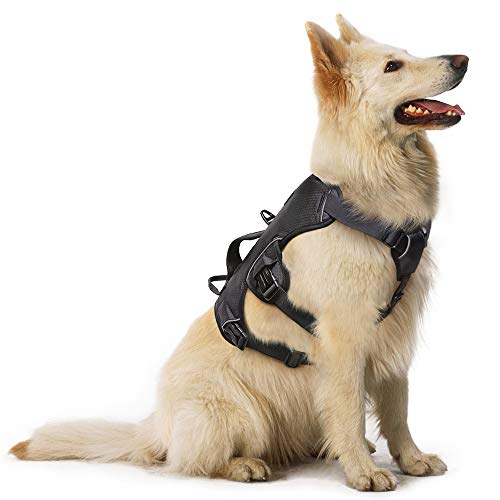 rabbitgoo Arnes Antitirones Perro Grande Mediano Ajustable con Manija de Espalda, Chaleco Acolchado Arnés para Perro Coche Lineas Reflecantes Paseo Fácil para Entrenamiento Tamaño Mediano Negro