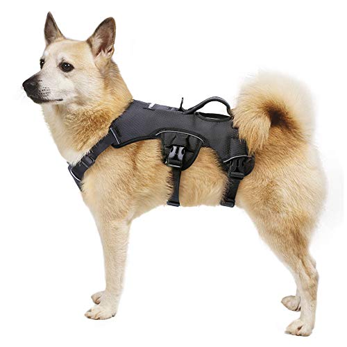 rabbitgoo Arnes Antitirones Perro Grande Mediano Ajustable con Manija de Espalda, Chaleco Acolchado Arnés para Perro Coche Lineas Reflecantes Paseo Fácil para Entrenamiento Tamaño Grande Negro