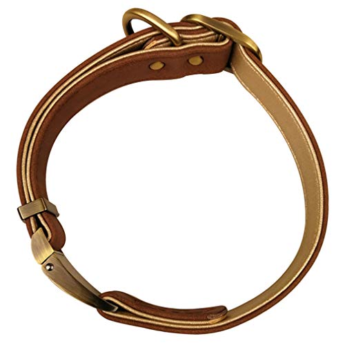 RC GearPro Collar de Perro de Cuero Real, Collares Suaves para Mascotas para Perros pequeños, medianos y Grandes (Brown, S(24-34cm))