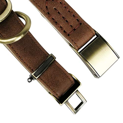 RC GearPro Collar de Perro de Cuero Real, Collares Suaves para Mascotas para Perros pequeños, medianos y Grandes (Brown, S(24-34cm))