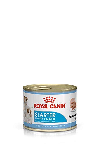 RC STARTER MOUSSE 195G