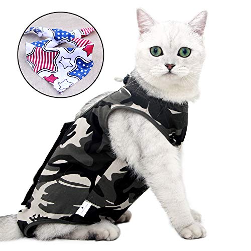 Recovery Suit Katze,Postoperative Katze-Kleidung para la recuperación Unterleibsschutz para heridas o Hautkrankheiten, ropa después de la operación, profesionales, Haustiere-Kleidung hogar interior