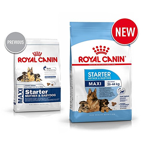 Royal Canin C-08442 S.N. Maxi Starter - 15 Kg