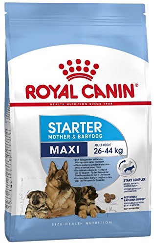 Royal Canin C-08442 S.N. Maxi Starter - 15 Kg