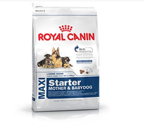 Royal Canin C-08445 S.N. Maxi Starter - 4 Kg