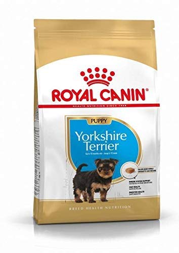 Royal Canin C-08592 S.N. Yorkshire Junior/Puppy - 1.5 Kg