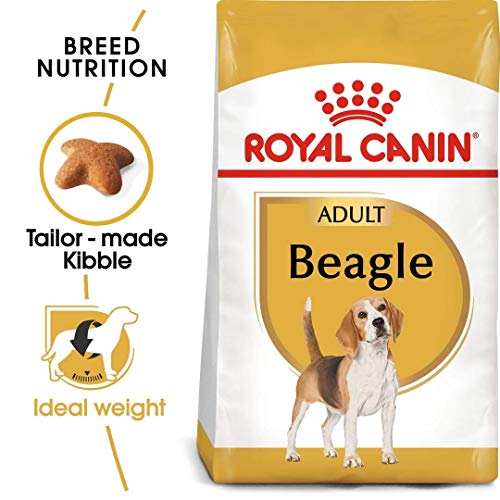 Royal Canin C-08875 S.N. Beagle - 12 Kg