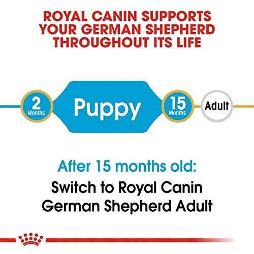 Royal Canin C-08928 S.N. Pastor Junior - 12 Kg