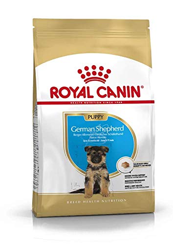 Royal Canin C-08928 S.N. Pastor Junior - 12 Kg