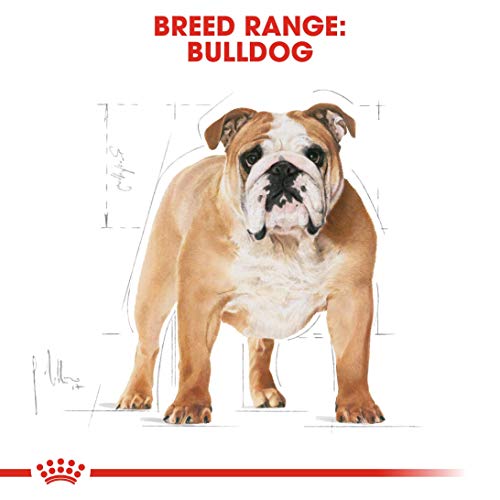 Royal Canin C-08935 S.H. Nut Bulldog 24 - 12 Kg