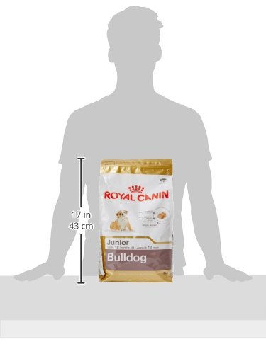 Royal Canin C-08938 S.H. Nut Bulldog Junior - 3 Kg