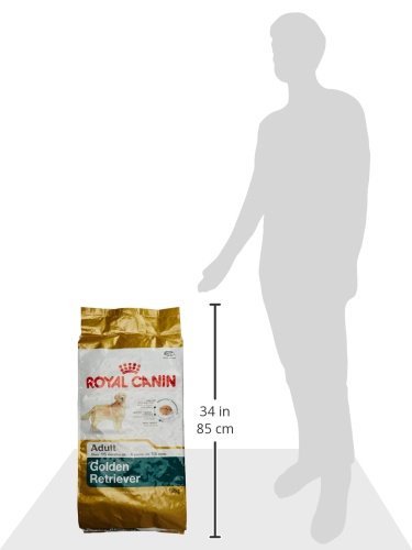 Royal Canin C-08995 S.H. Nut Golden Retriever - 12 Kg