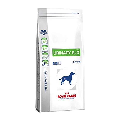 Royal Canin C-11155 Comida para perros Diet Urinary S/O, 2 Kg