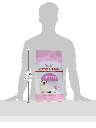 Royal Canin C-58434 Gato - 4 Kg