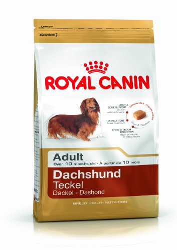 ROYAL CANIN Dachshund Adult 28-7500 gr