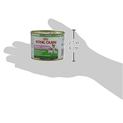 Royal Canin Starter Mousse, Madre y Bebé perro comida 24 x 195 g