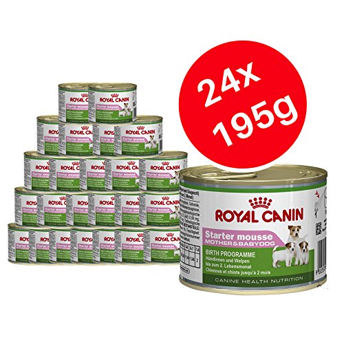 Royal Canin Starter Mousse, Madre y Bebé perro comida 24 x 195 g