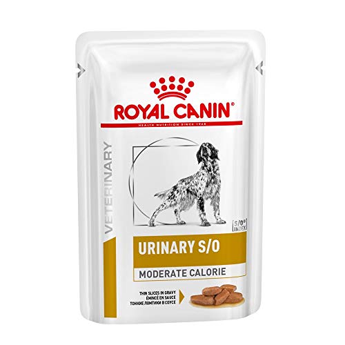 Royal Vet Canine Urinary S/O Caja 12X100Gr 1200 g