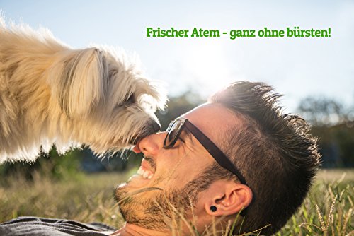 Schnüffelfreunde Higiene Dental para añadir al Agua para Perros y Gatos | Aliento Fresco y Dientes sanos - Ayuda a prevenir la Placa y el sarro - 500 ml (Classic)