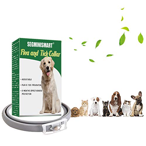 SEGMINISMART Collar Antiparasitos Perros,Collar de pulgas,Collar Antiparasitos para Perros y Gatos,Collar Anti Mosquitos Tamaño Ajustable