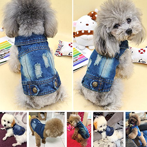 SILD - Chaqueta Vaquera con Capucha para Perros medianos y pequeños, diseño Vintage Desgastado, Color Azul (L)