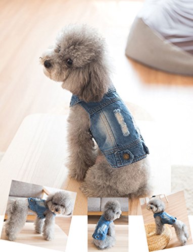 SILD - Chaqueta Vaquera con Capucha para Perros medianos y pequeños, diseño Vintage Desgastado, Color Azul (L)