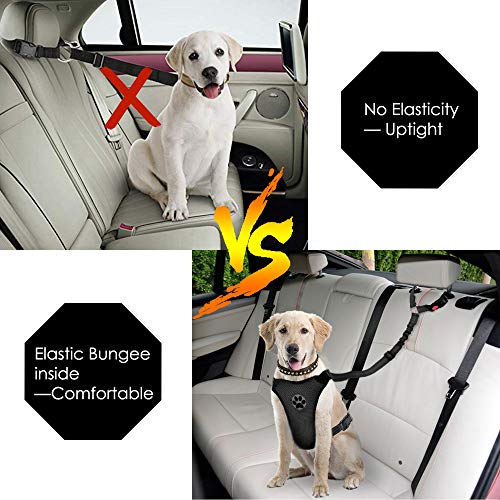 SlowTon Cinturón de Seguridad para Perros, Paquete de 2 Cinturón de Seguridad para el Asiento del cajero con Banda elástica y Reflectante Se Conecta con el vehículo con Brazo (Negro)