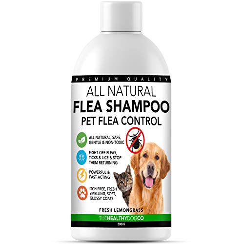 The Healthy Dog Co Champú antipulgas Completamente Natural | Limoncillo | 500ml | El Mejor Tratamiento para Perros y Gatos | Fórmula Potente y Segura | Mata y controla pulgas garrapatas y piojos