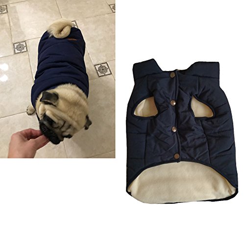 Tineer con Capucha Linda Chaqueta de la Capa del Animal doméstico del Perro de Perrito Ropa de Invierno Bulldog francés con Capucha Caliente Juego del Chaleco (XL, Azul)