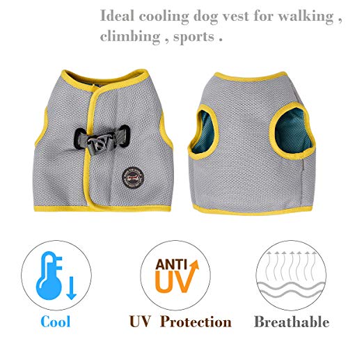 Tineer Pet Refrescante Arnés Malla de Verano Perro para Caminar Chaleco Fresco Arnés Ajustable para Perros pequeños/medianos/Grandes Correr Dentro o al Aire Libre, Caminar, Escalar montañas (XXL)