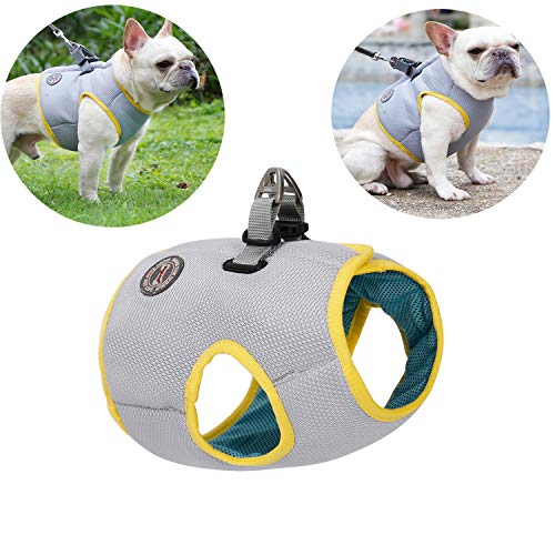 Tineer Pet Refrescante Arnés Malla de Verano Perro para Caminar Chaleco Fresco Arnés Ajustable para Perros pequeños/medianos/Grandes Correr Dentro o al Aire Libre, Caminar, Escalar montañas (XXL)